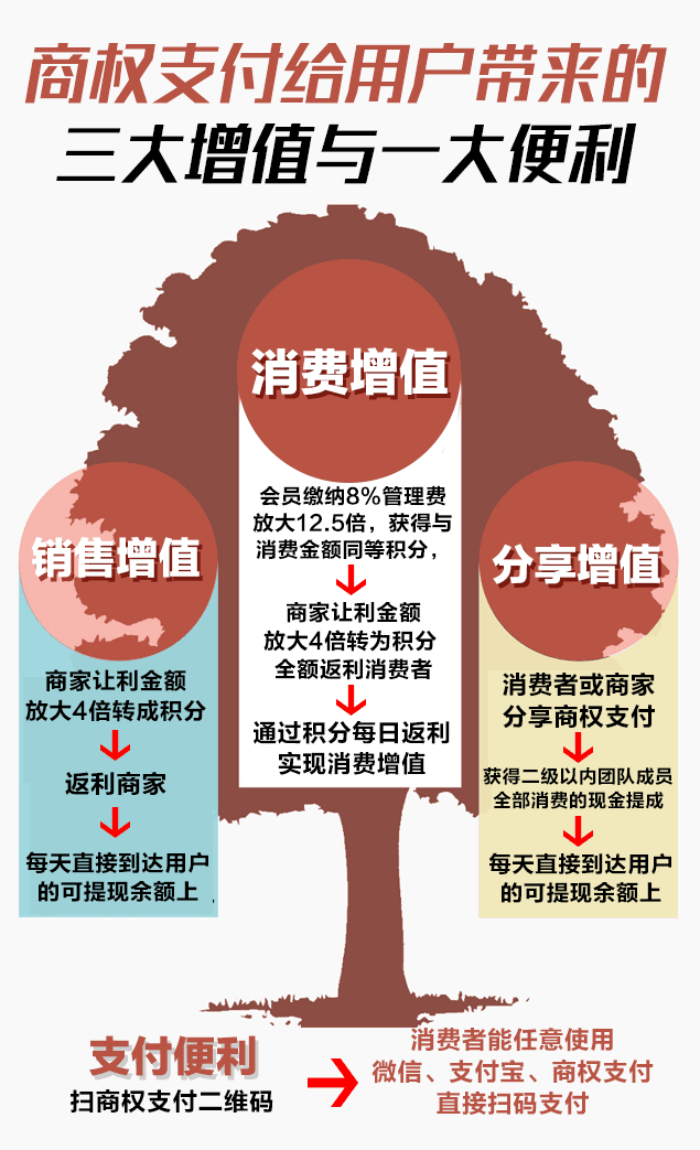 三大增值与一大便利.png